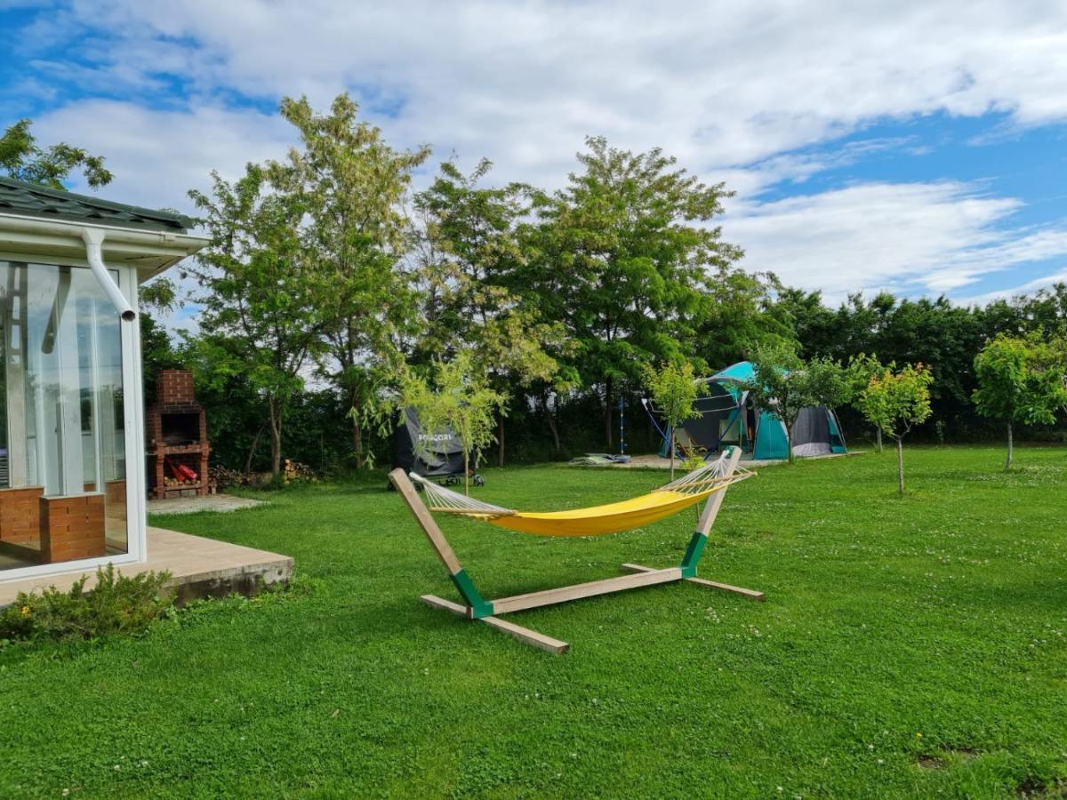 Casa Elis Piscina, Jacuzzy , Sauna, Ciubar Merei Экстерьер фото