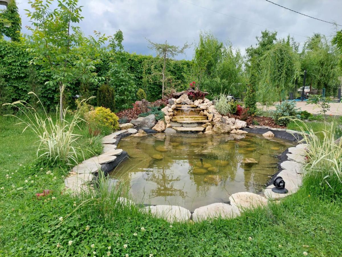 Casa Elis Piscina, Jacuzzy , Sauna, Ciubar Merei Экстерьер фото