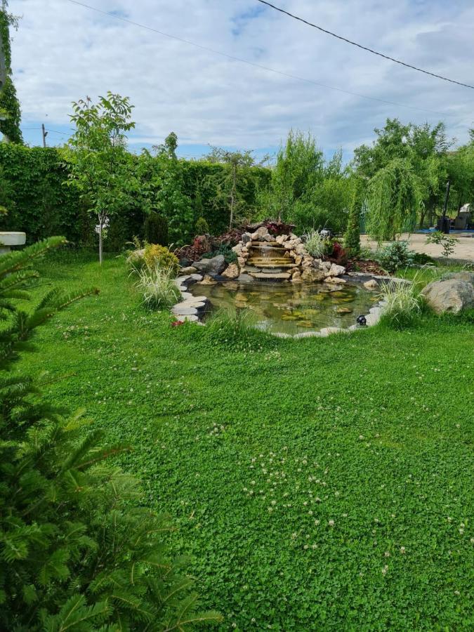 Casa Elis Piscina, Jacuzzy , Sauna, Ciubar Merei Экстерьер фото