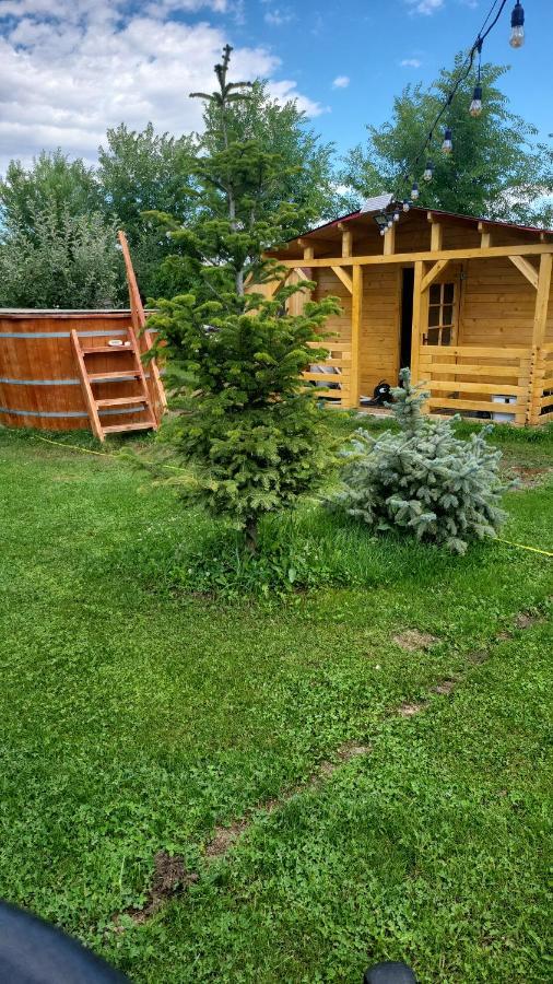 Casa Elis Piscina, Jacuzzy , Sauna, Ciubar Merei Экстерьер фото