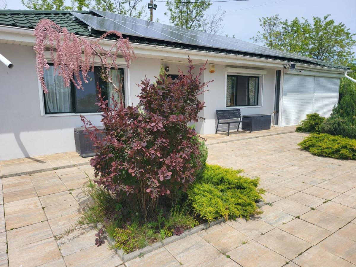 Casa Elis Piscina, Jacuzzy , Sauna, Ciubar Merei Экстерьер фото